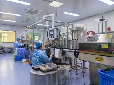 通化 人參產業“新新”向榮，西洋參成新亮點